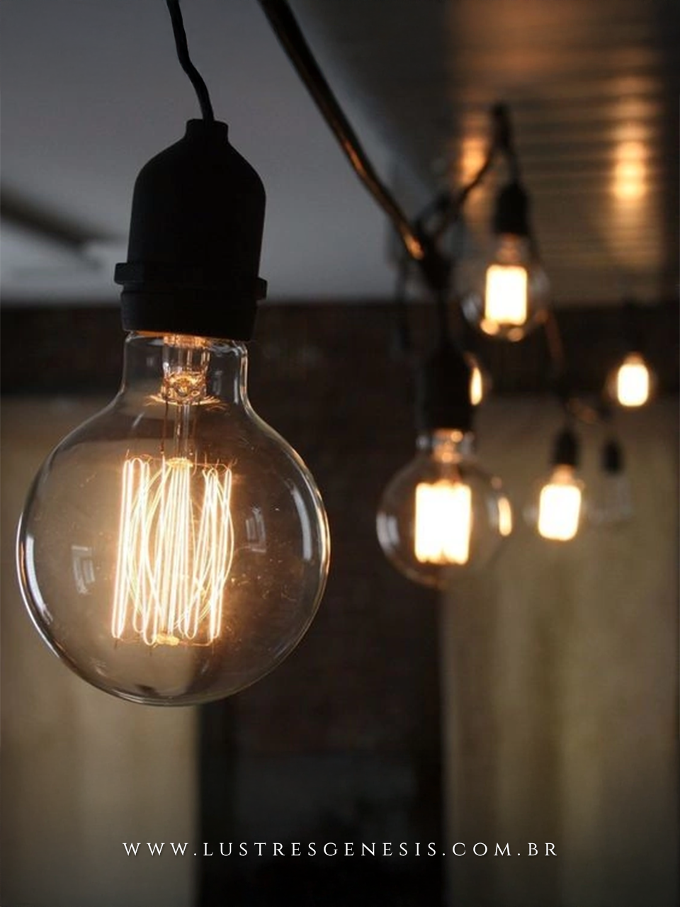 Lâmpada de Filamento de Carbono G80 40W Squirrel Cage iluminada. Lustres Gênesis loja online de Lustres e Iluminação Decorativa